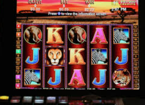 壹号娱乐免费版